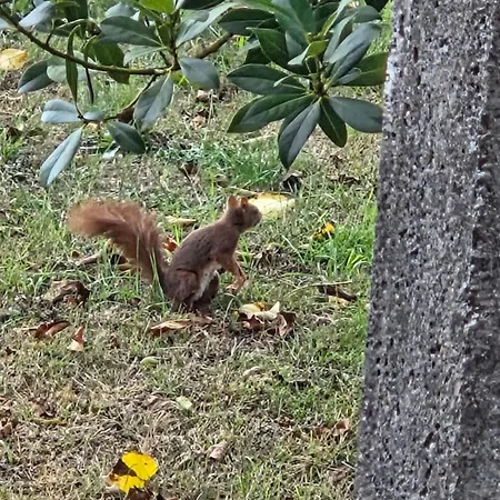 Maison De Campagne Σπίτι διακοπών